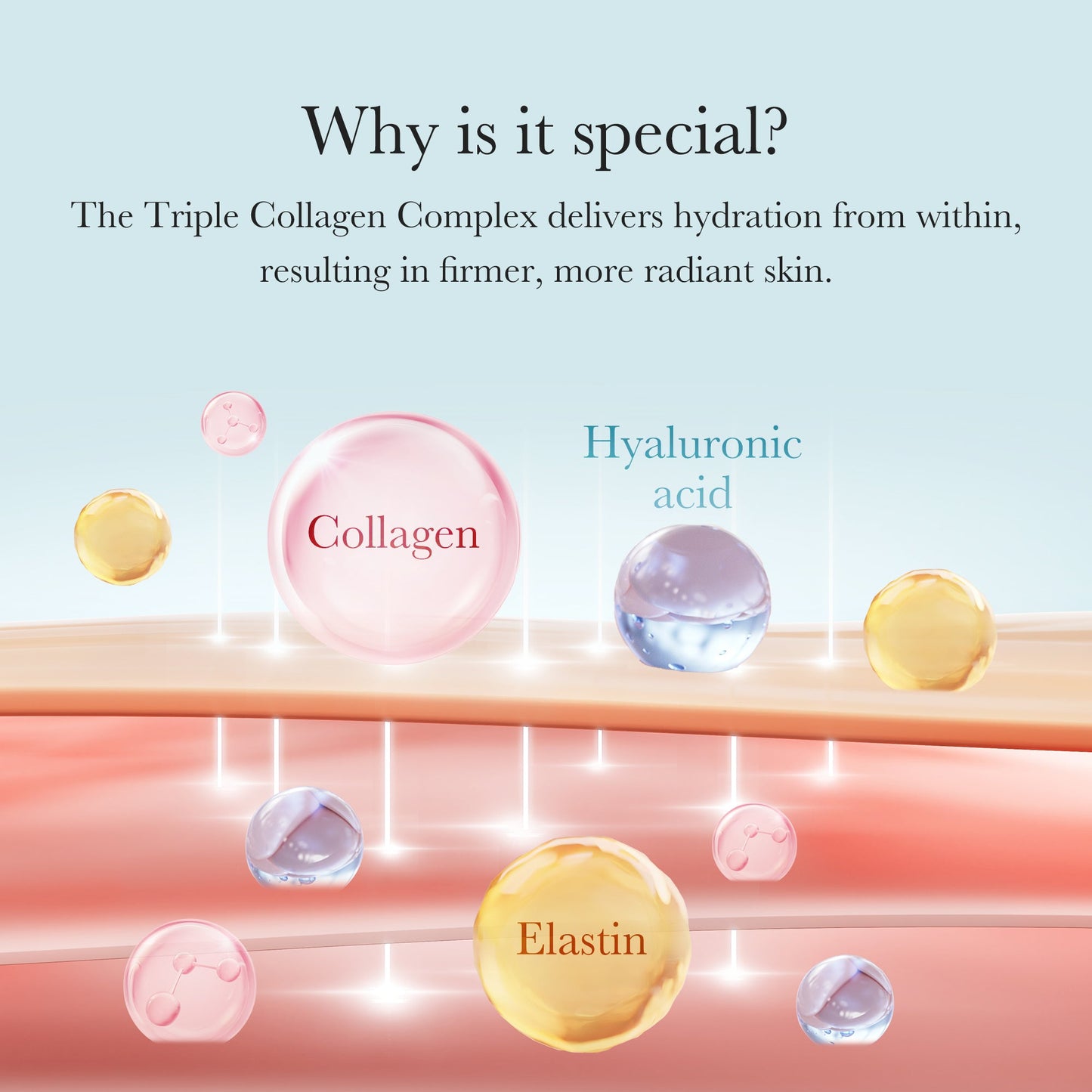 triple-collagen-cream-q7 04_8e4e330d-7d9c-4ff0-93ec-ea541093220c.jpg
